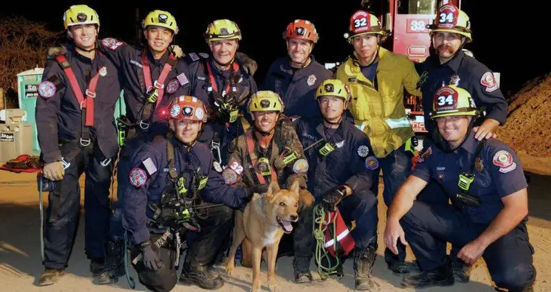Firefighters Rescue 13-Year-Old Blind Dog After It Stumbled Into A 15-Foot Hole