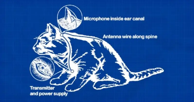 9 Outlandish Covert Operations That The U.S. Government Actually Executed, From LSD Mind Control To Spy Cats