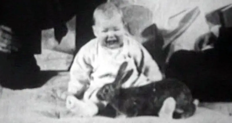 Inside The Horrifying Little Albert Experiment That Terrified An Infant To The Point Of Tears