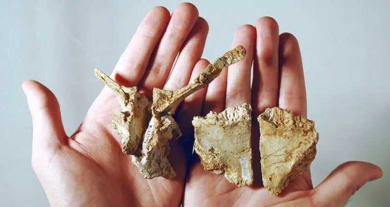 A New ‘Dwarf Dinosaur’ Species Has Been Unearthed In Transylvania