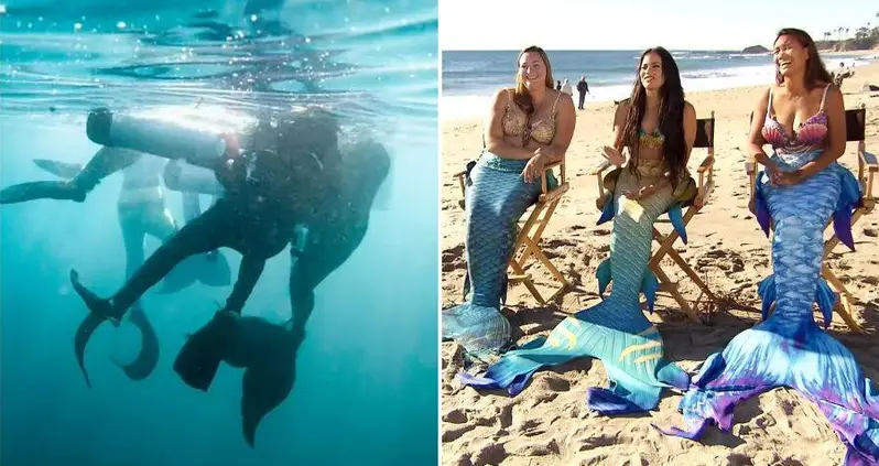 Three ‘Mermaids’ Save A Scuba Diver From Drowning In California