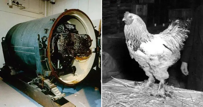 Inside Project Blue Peacock, The Most Outrageous Nuclear Plot Of The Entire Cold War
