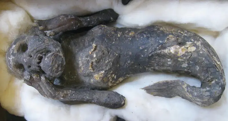 From A Warrior Statue In Kyrgyzstan To A Maya City In Mexico, These Are The Most Significant Historical Discoveries Of 2022