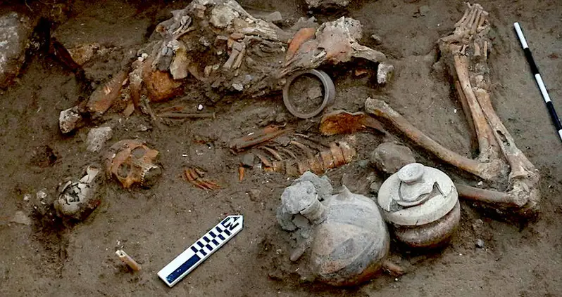 This Week In History News, Feb. 19 – 25