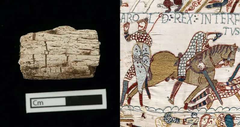 New Research Finds That Vikings Brought Their Favorite Animals To Britain Over 1,000 Years Ago