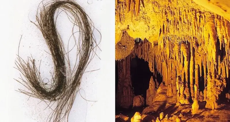 Researchers Find Earliest Evidence Of Psychoactive Drug Use In Bronze Age Europe In 3,000-Year-Old Hair Strands