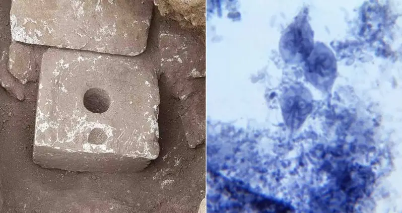 Archaeologists Find 2,500-Year-Old Poop In Jerusalem Toilets — And It Contains The Oldest Evidence Of Dysentery Parasites