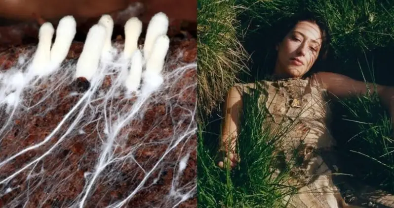 Clothing Made From Fungi-Based ‘Mushroom Leather’ Could Repair Itself, New Study Suggests