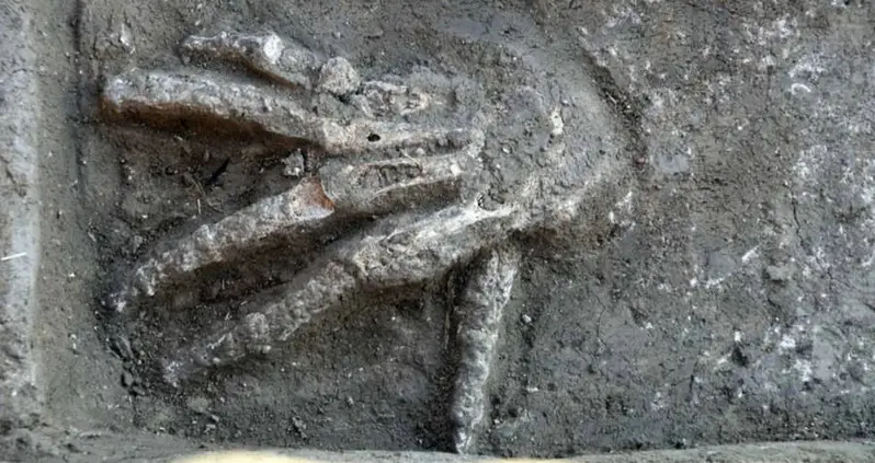 Severed Hands May Have Been The Chosen Spoil Of War In Ancient Egypt
