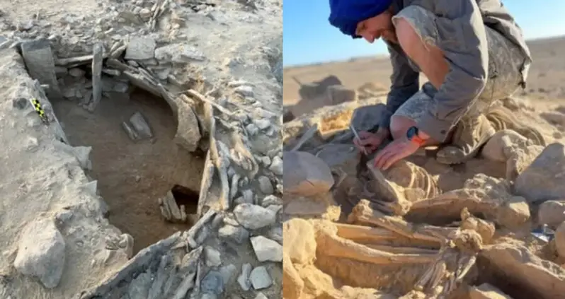 Archaeologists In Oman Just Uncovered A ‘Completely Unique’ Mass Tomb From 7,000 Years Ago