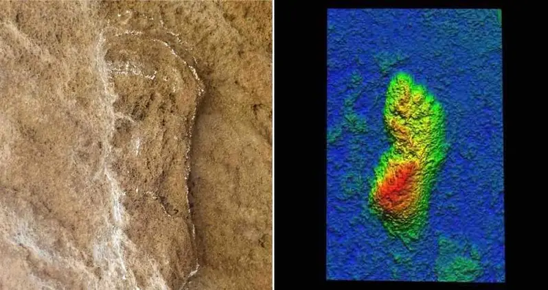 Archaeologists In South Africa Just Uncovered The Oldest <em>Homo Sapiens</em> Footprints On Record