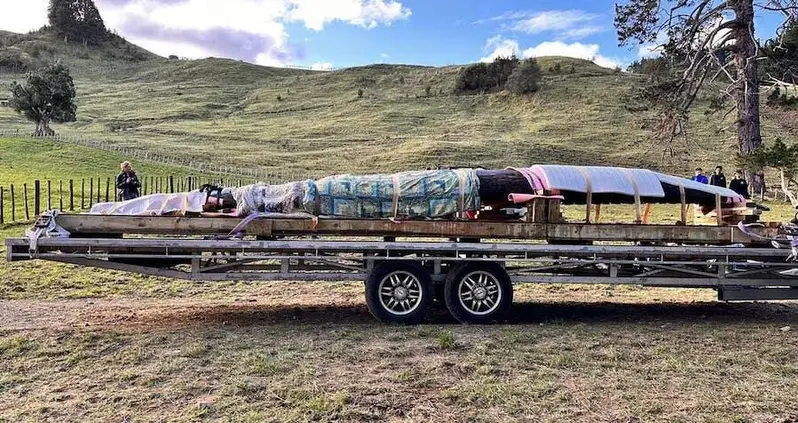 150-Year-Old Māori Canoe Known As A Waka Found In Excellent Condition In New Zealand’s Pātea River
