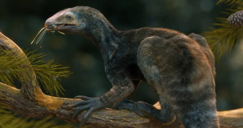 The Bones Of A 230-Million-Year-Old ‘Edward Scissorhands’ Reptile Were Just Discovered On A Brazilian Farm