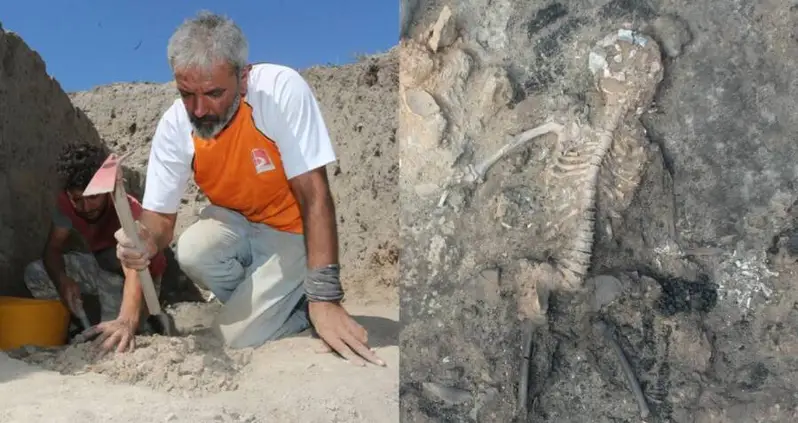 Well-Preserved 3,700-Year-Old Bronze Age Brain And Skin Remains Found In Turkey