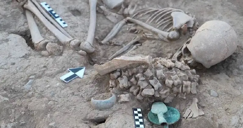Archaeologists In Kazakhstan Unearth Bronze Age Burial Of Girl Laid To Rest With More Than 180 Animal Bones