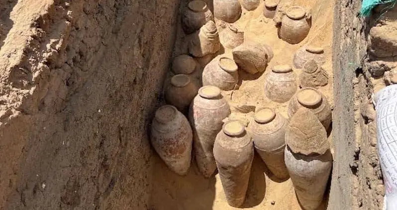5,000-Year-Old Wine Jars Found In Ancient Egyptian Tomb Of Queen Merneith