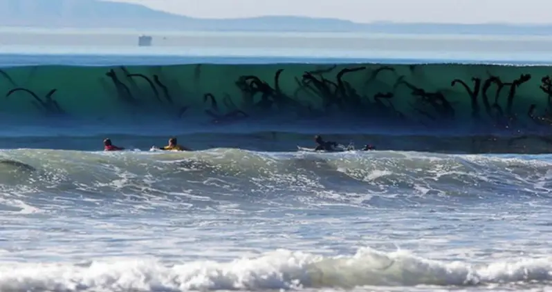 Inside The Terror Of Thalassophobia, The Crippling Fear Of Open Water