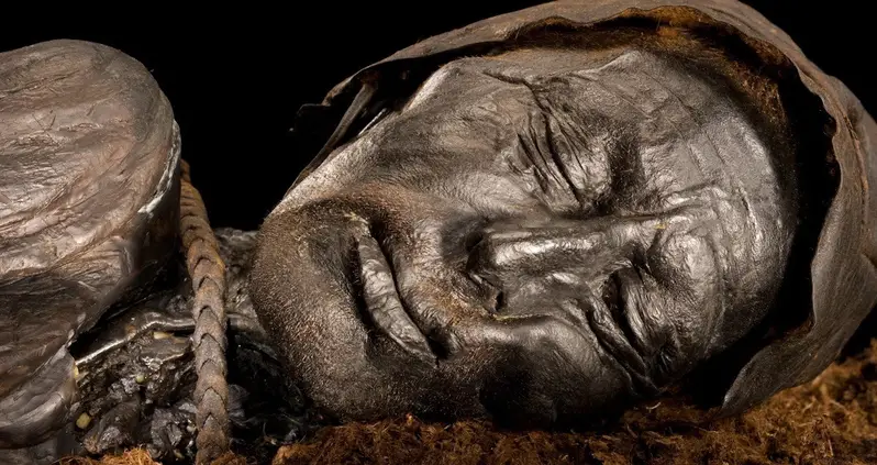 The Story Of The Tollund Man, The 2,400-Year-Old Corpse That Was So Well-Preserved Scientists Could Take His Fingerprints