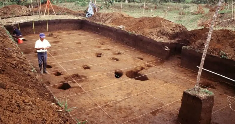 Huge Network Of Ancient Cities Uncovered In The Amazon Rainforest