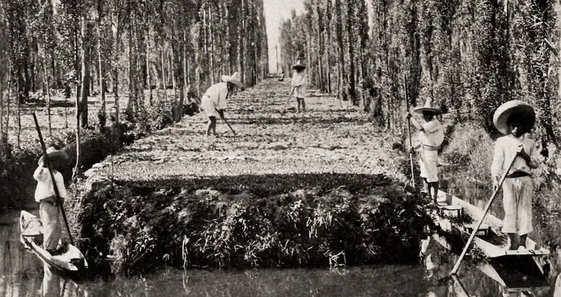 The Fascinating History Of Chinampas, The Mesoamerican Method Of Farming On Water
