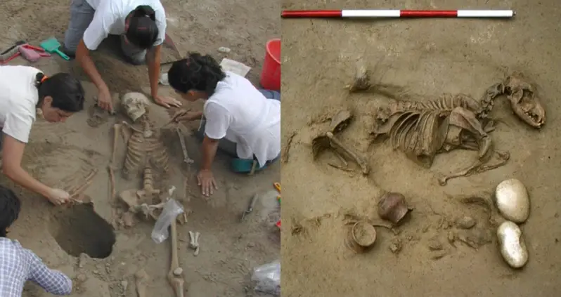 Excavations Of An Iron-Age Cemetery In Italy Reveal Skeletons Buried Alongside Dogs And Horses