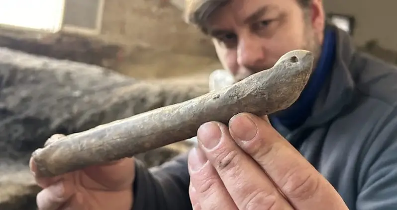 Archaeologists Discover A 1,000-Year-Old Animal Bone Skate In The Czech Republic