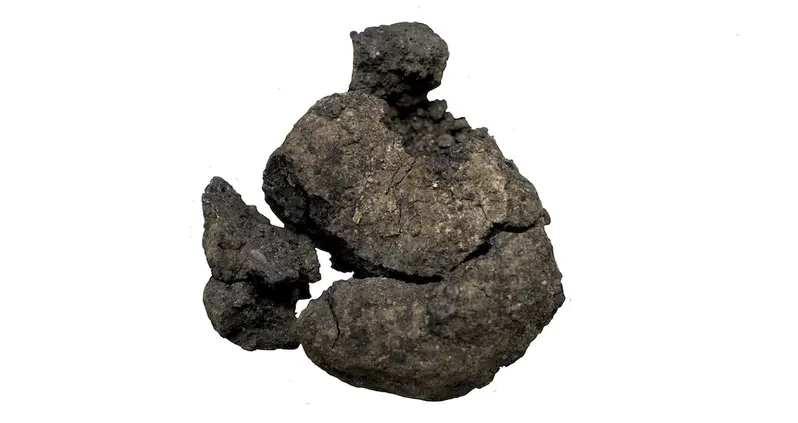 Archaeologists Discover World’s Oldest Bread At Turkey’s Ancient Çatalhöyük Site