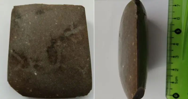 An Ancient Axe Head Was Found By A Man Weeding His Raspberry Patch In Poland