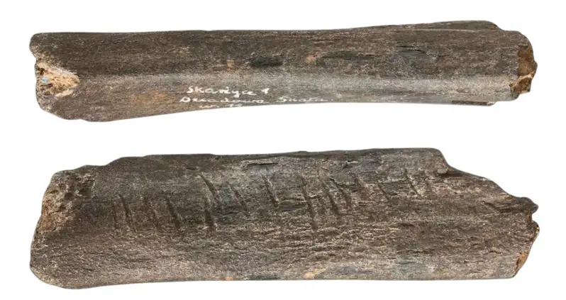 A New Study Suggests That This 130,000-Year-Old Bear Bone Is One Of The Earliest Examples Of Neanderthal Art