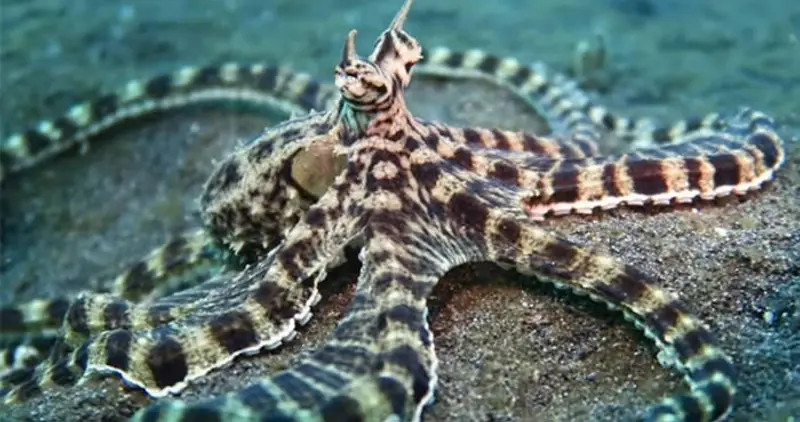 These 5 animals are found in super power These 5 animals are found in super power