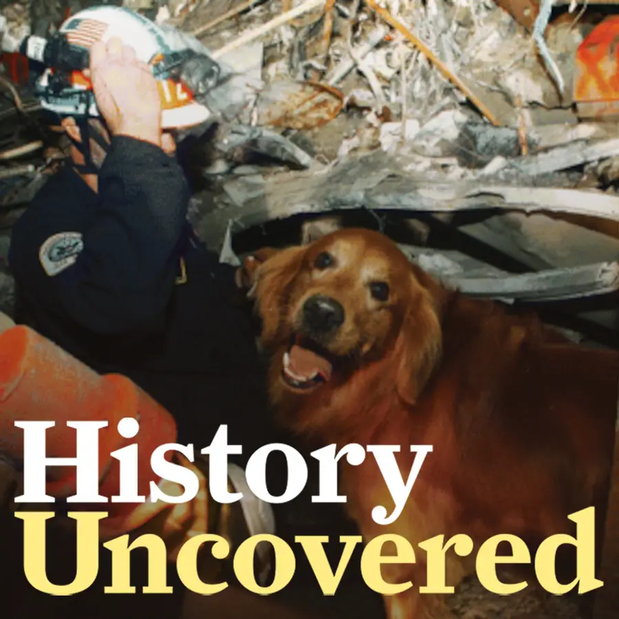9 11 Dogs