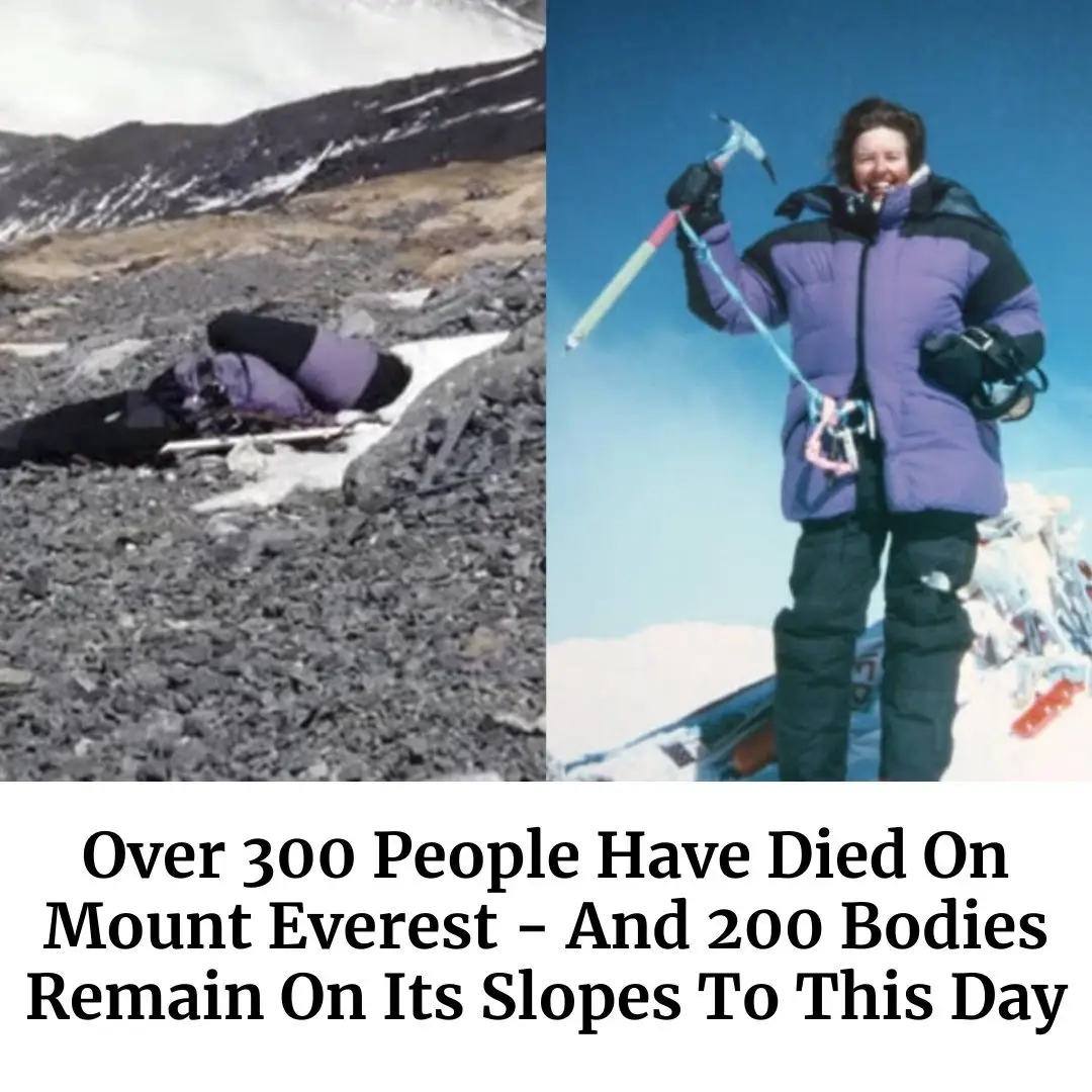 Interesting History Articles And Stories That Bring The Past To Life