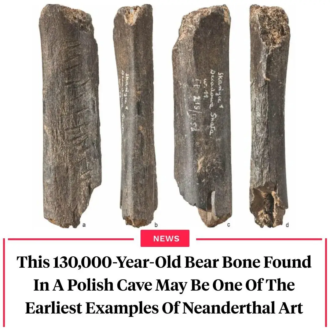 Interesting History Articles And Stories That Bring The Past To Life