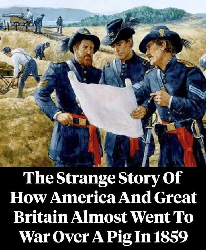 Interesting History Articles And Stories That Bring The Past To Life