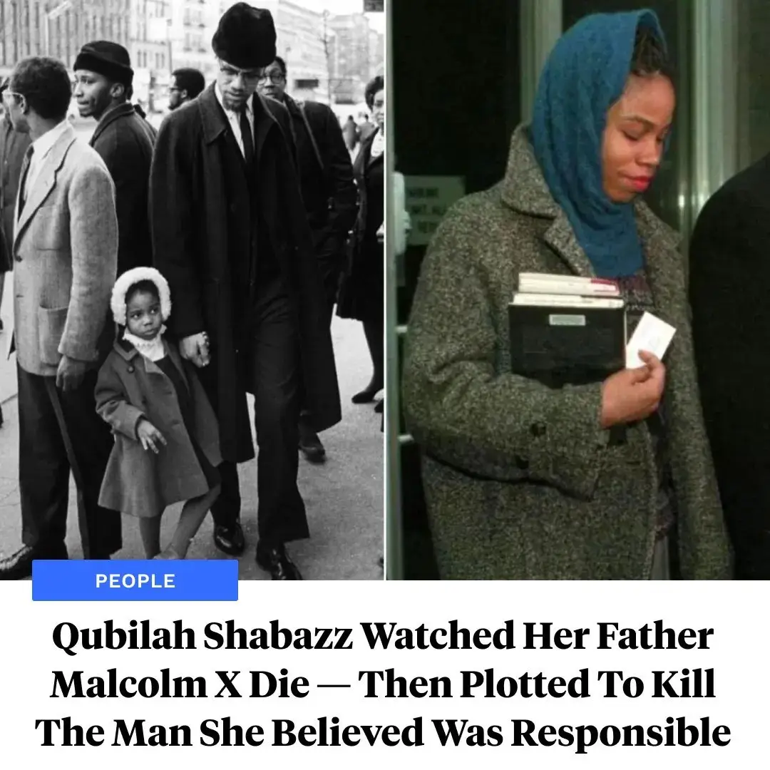 Interesting History Articles And Stories That Bring The Past To Life