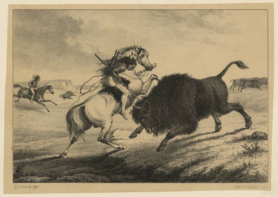 Native American Hunting Bison