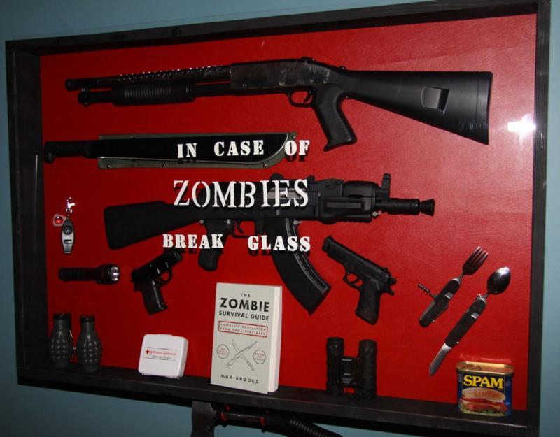 Zombie apocalypse survival kit  Zombie apocalypse survival, Zombie survival  gear, Apocalypse survival kit