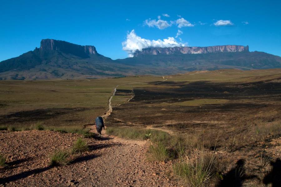 Pathway To Mount Roraima