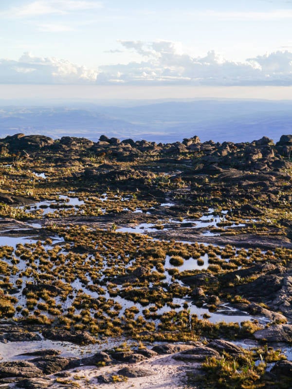Roraima Puddles