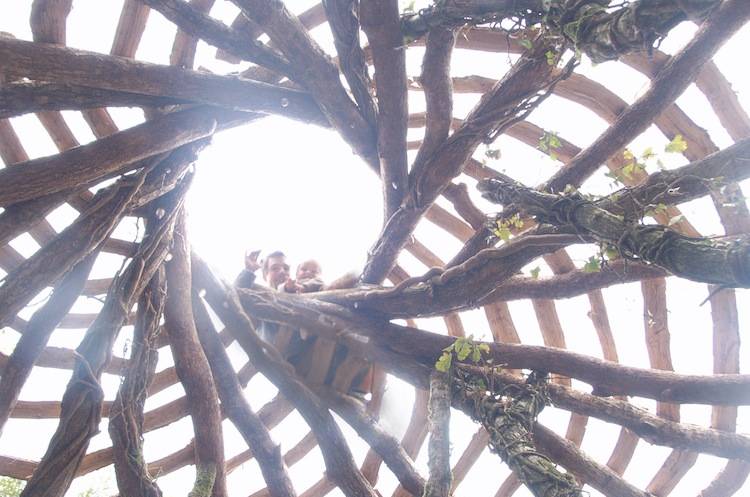 Roof Of Green Friendly Hobbit House