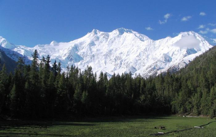 Nanga Parbat of Pakistan Climb