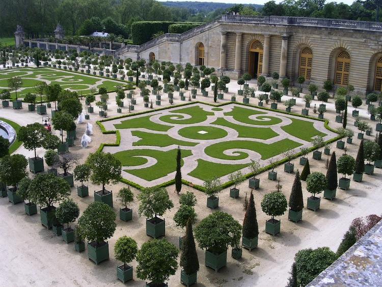 Cosmic Speculation Beautiful Gardens