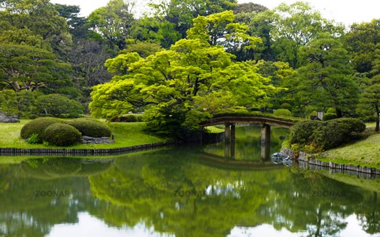 Rikugien Garden Photography