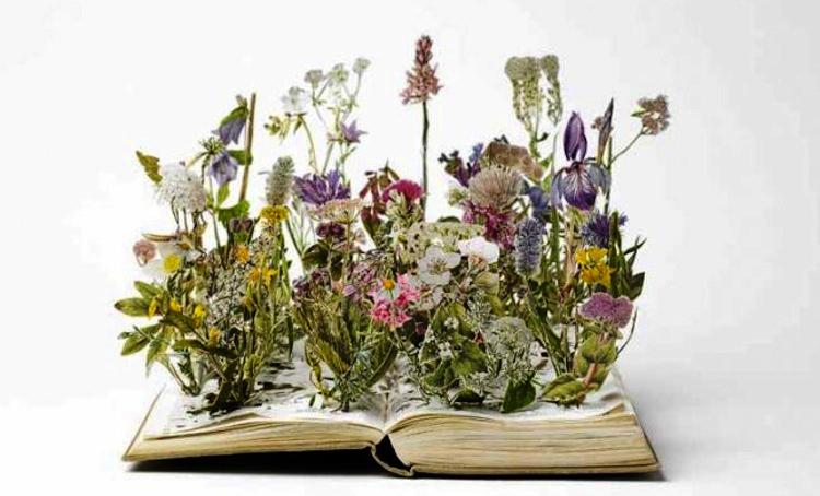 Su Blackwell Book Flower Art