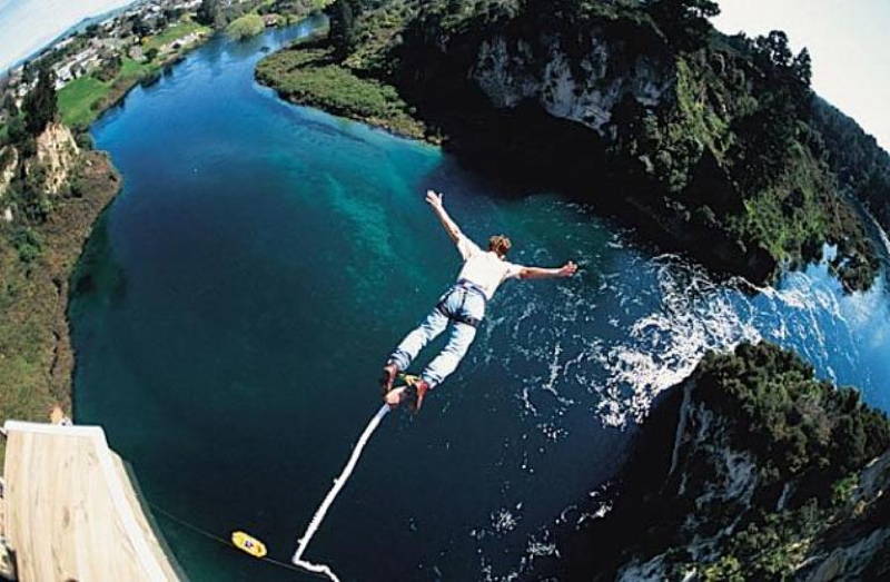 Crocodile Bungee Jumping Picture.