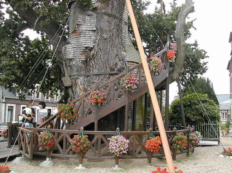 Oak Chapel France