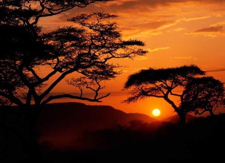 Six Best National Parks On The Planet Serengeti Africa