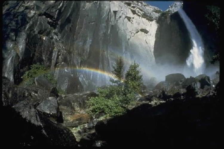 Best National Parks Yosemite
