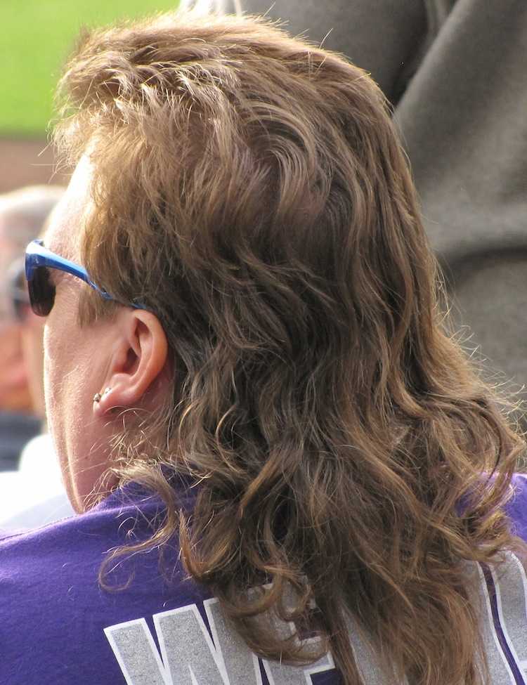 Weirdest Fashion Trends Mullet