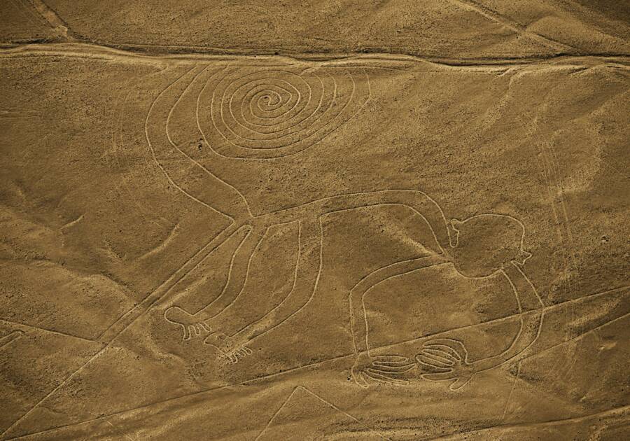 The Monkey Nazca Lines